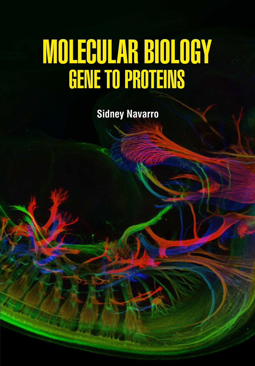 Molecular Biology Gene to Proteins